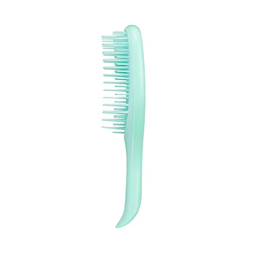 Tangle Teezer The Mini Ultimate Detangling Brush, Dry and Wet Hair Brush Detangler for Traveling and Small Hands, Sea Green