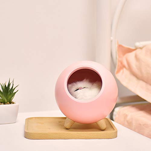 PRODUCTO 379 Lámpara de casa para gatos, lindo gatito, casa para mascotas, luz para gatos, luz nocturna recargable por USB, regalos para amantes de los gatos, decoración de la habitación para mujeres, esposas, mamás y niñas