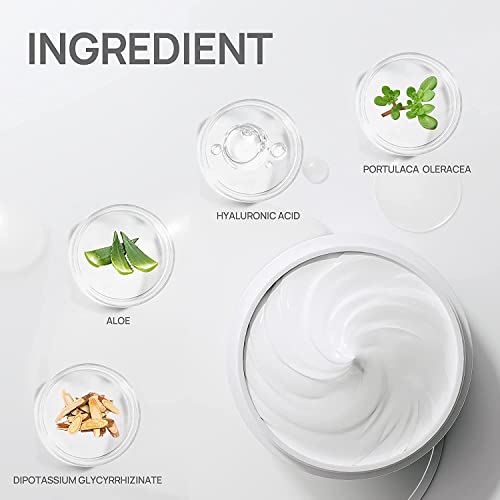 LANBENA Mascarilla para puntos negros con 60 tiras, mascarilla para eliminar puntos negros, mascarilla facial purificadora limpiadora de poros y plantas para la nariz (1,05 oz/30g)