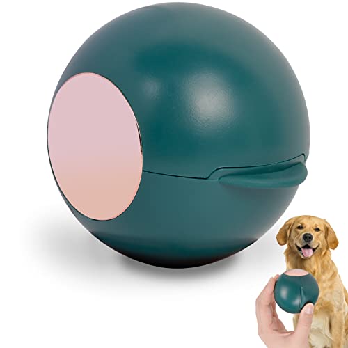 ChezMax Bola de rodillo de pelusa para pelo de mascotas, removedor de pelusas de gel reutilizable lavable, herramienta portátil extra pegajosa para quitar pelo de perro gato, mini limpiador de viaje para muebles, ropa, alfombra, sofá, tela, coche, verde