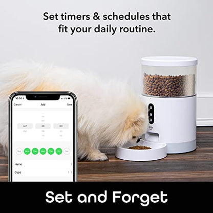 PRODUCTO 283 Geeni Comedero Inteligente, Comedero Automático para Perros y Gatos de 4 Litros, Control Wi-Fi Compatible con Alexa y Google Home