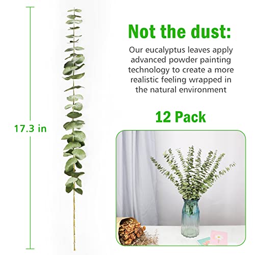 12 tallos ramas de eucalipto secas tallos verdes, 17 pulgadas 100% real natural hojas de eucalipto vivas plantas decoración verde para ducha aromaterapia arreglos florales boda hogar