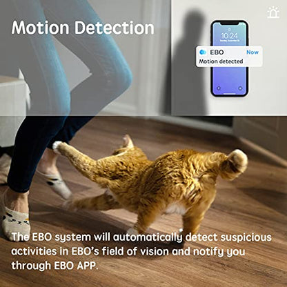 PRODUCTO 108 Enabot Cámara para mascotas Cámara de seguridad para el hogar, cámara WiFi interior móvil, conversación bidireccional, visión nocturna, vídeo 1080P, cámara inalámbrica recargable de carga automática para mascotas/bebés/ancianos