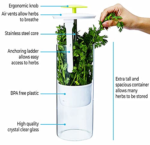 NOVART XXL Herb Keeper and Herb Saver – Recipiente de almacenamiento de vidrio para cilantro, menta, perejil, espárragos, mantiene las verduras frescas durante 2-3 semanas